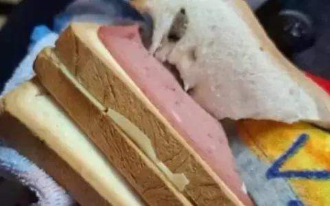 El reporte se�ala que la ni�a no present� molestias, ya que pr�cticamente no lleg� a consumir el s�ndwich.