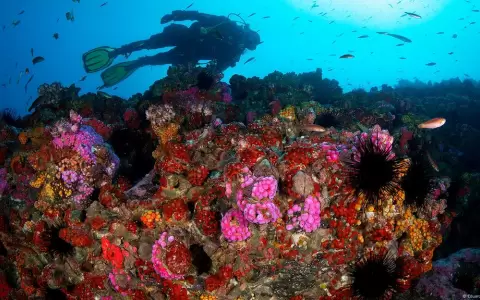 Con la propuesta, Chile pasa de 44% a 54% de protecci�n de sus aguas jurisdiccionales.