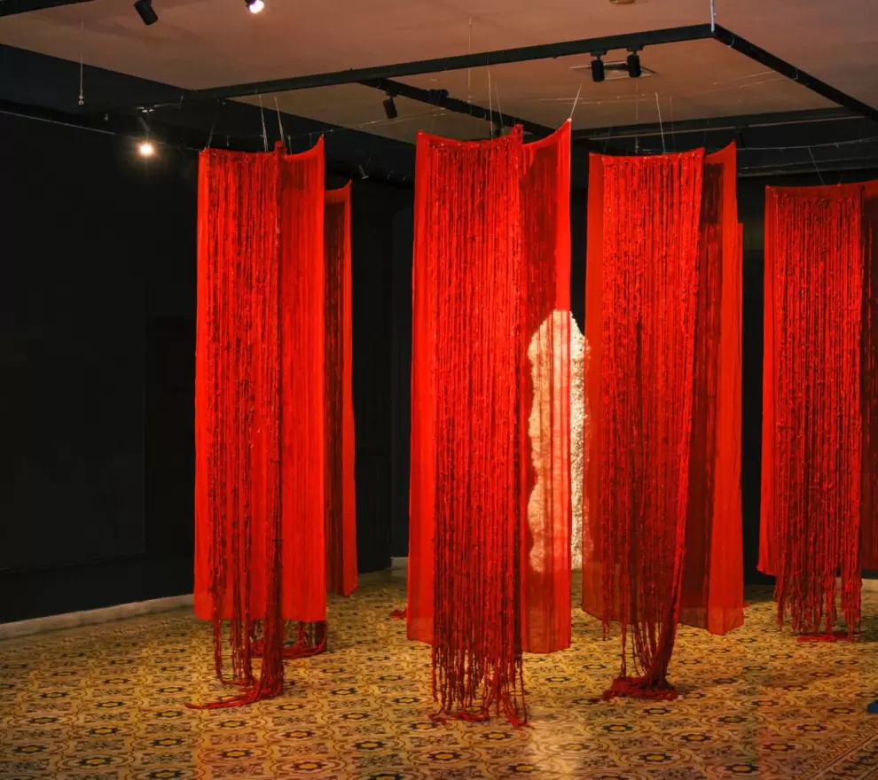 Karina Amadori, Entre o arterial e o venoso, 2022-2023. Instalaci�n con muselina de seda pura, seda te�ida y capullos de gusanos de seda