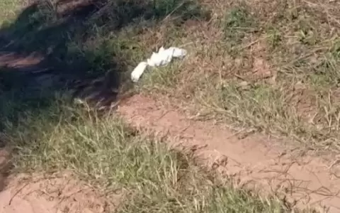 La reci�n nacida fue dejada en un camino vecinal.
