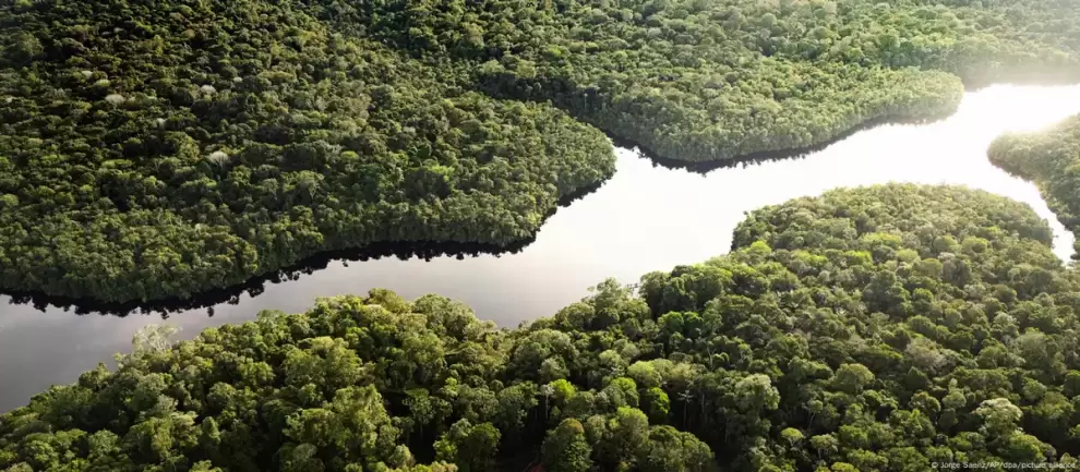 Un equipo internacional estudia el efecto del fen�meno clim�tico El Ni�o en los desiertos y bosques amaz�nicos de la zona norte de Per� y Brasil. DW