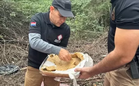 Incautaron marihuana de alta pureza en la zona norte del pa�s.