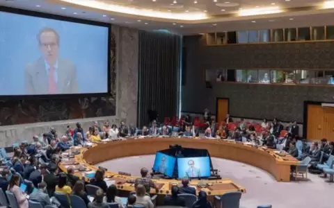 Reuni�n del Consejo de Seguridad de las Naciones Unidas.