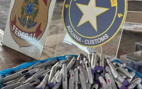 Plumas secuestradas en la frontera entre Brasil y Paraguay.