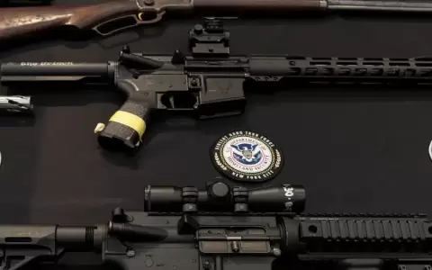 Unas 52 personas, en su mayor�a extranjeros, fueron detenidas en Santiago y en otras regiones como Tarapac�, Antofagasta, Atacama, Valparaiso y Bibio.