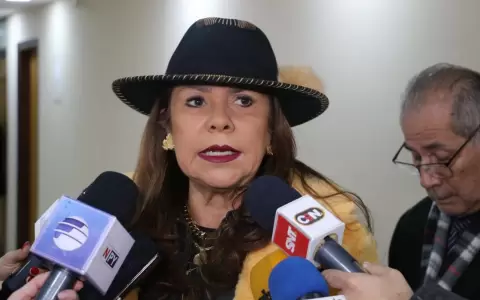 Celeste Amarilla.