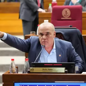 Bachi advierte sobre injerencia del chavismo en la política latinoamericana