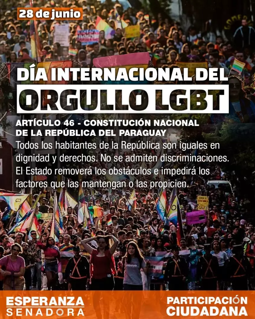 Flyer D�a internacional del Orgullo LGBT