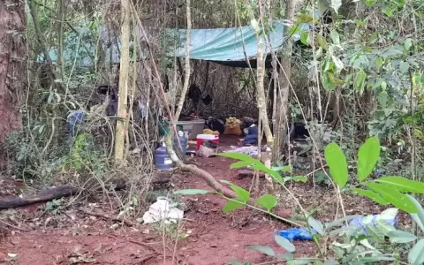 El enfrentamiento ocurri� en una zona boscosa a orillas del r�o Paran�.
