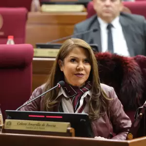 Celeste Amarilla denuncia que cartismo eval�a solo una sanci�n para Noelia Cabrera