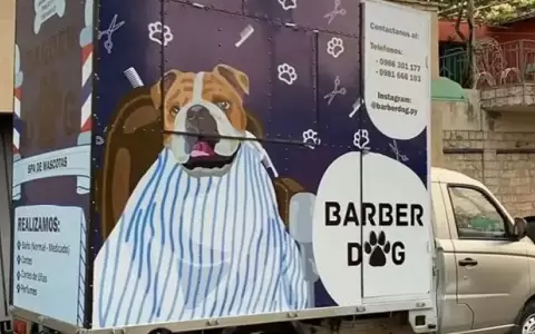 El emprendimiento comenz� como una alternativa a los tradicionales salones de peluquer�a canina.