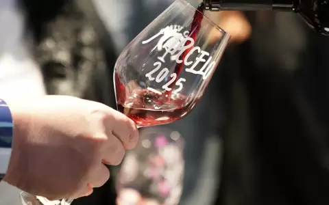 Expo Vino 2025.