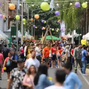 Lanzan "Palma Joven" con 2.000 becas de estudio y formación