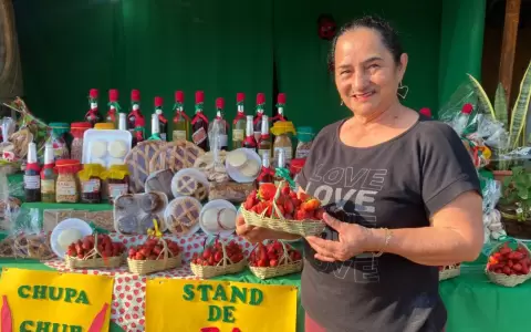 Variedad de productos con frutillas.
