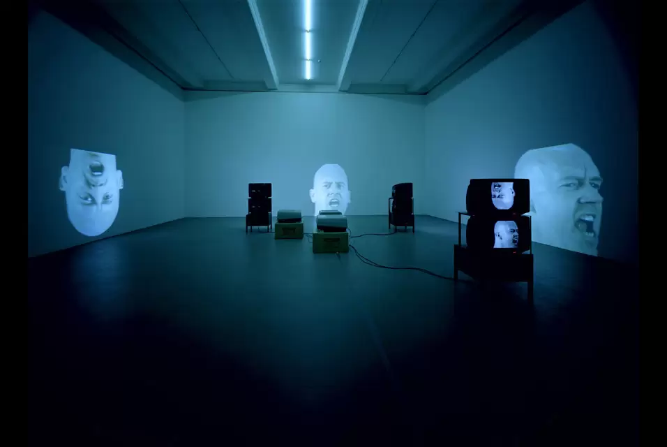 Bruce Nauman, AnthroSocio, 1992. (bridgemanimages)