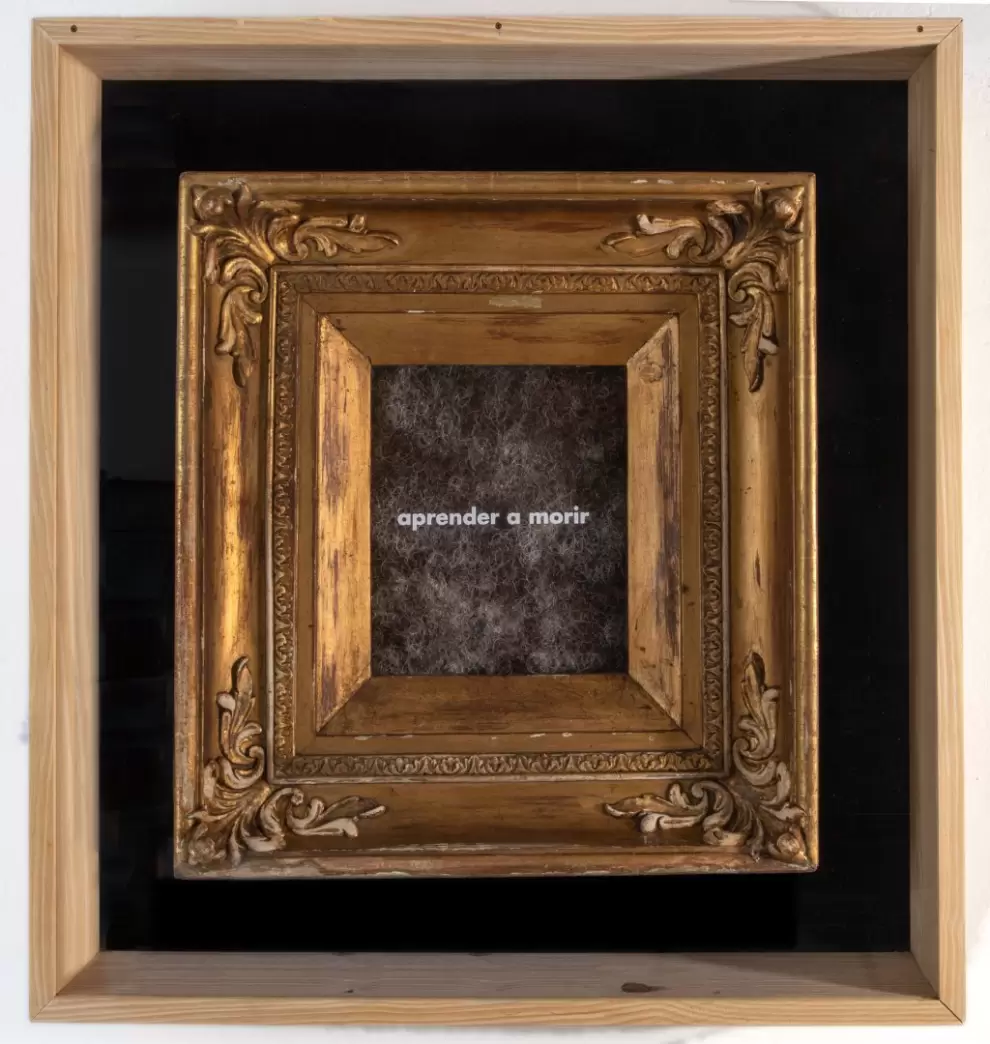 Osvaldo Salerno, "Paisaje", 2023. Marco de madera tallado y dorado con l�mina de oro, del siglo XIX, pelo humano, plotter de corte, vidrio, madera.