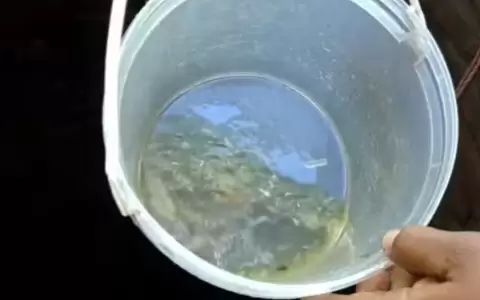 Familia denuncia contaminaci�n de su pozo.