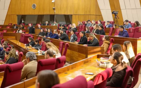 Audiencia p�blica en el Congreso sobre servicio de telecomunicaciones.
