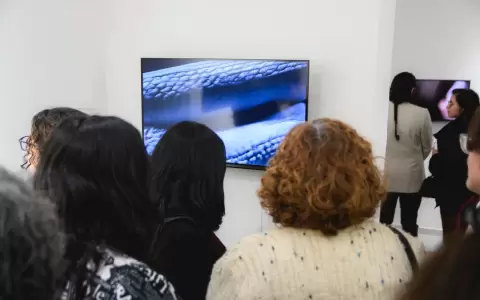 Exposici�n "Creadoras" Vista de sala.