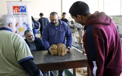 Aumenta el inter�s por la producci�n de conejos.