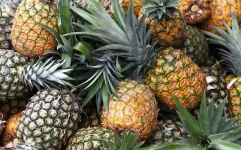 Las variedades m�s utilizadas en Paraguay incluyen Abacaxi, Cayena lisa, Boliviana y La Perolera.