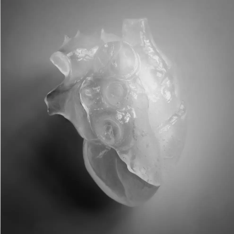 Coraz�n de hielo, obra de Joaqu�n S�nchez. Cortes�a