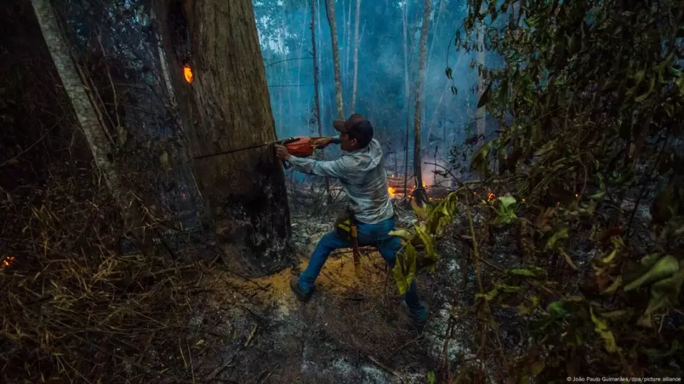 Las emisiones totales de CO2 causadas por incendios forestales son mayores, al sumar la combusti�n de madera muerta y material org�nico en el suelo.