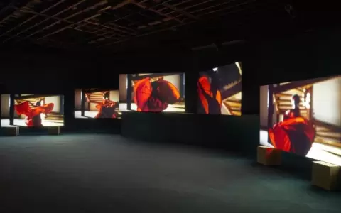 Isaac Julien, "Lina Bo Bardi - A Marvellous Entanglement", 2019.