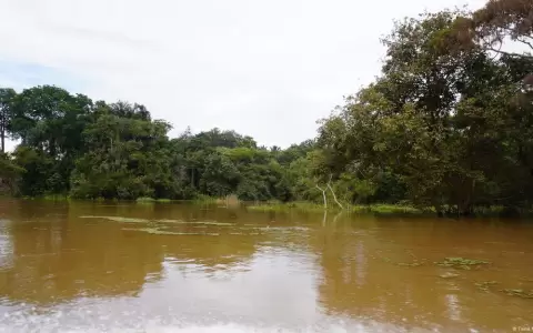 Brasil acoge la COP 30 en 2025. Hace unos d�as, el Congreso del pa�s aprob� una ley que permite facilita las licencias ambientales para empresarios.