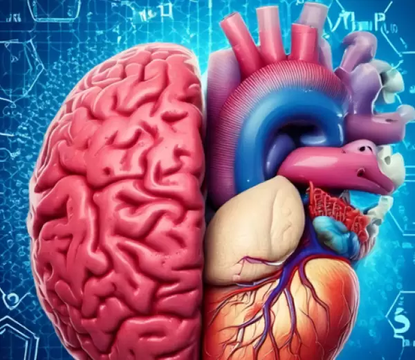 Cerebro y coraz�n.