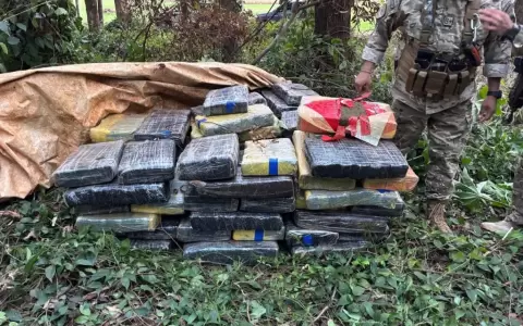 Cargamento de marihuana hallado en Itakyry, Alto Paran�.
