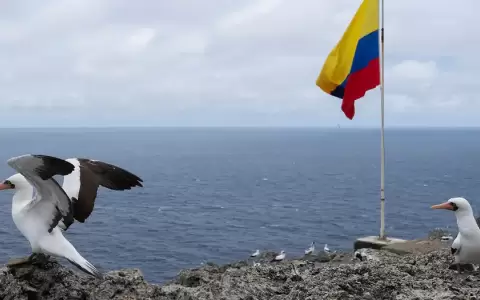Isla de Malpelo (suroeste),de Colombia a unos 500 kil�metros de tierra firme.