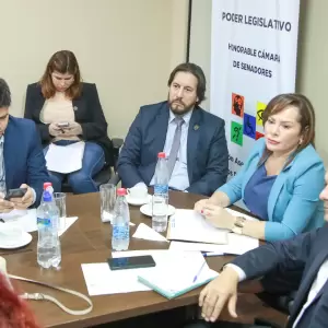Senador afirma no conocer a sobrinos de su colega Noelia Cabrera y habla de posible planillerismo