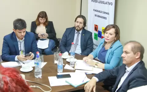Rub�n Vel�zquez y su colega Noelia Cabrera durante una reuni�n de la Comisi�n en el Senado.