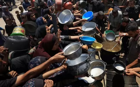 Hambruna: Ya casi llegan a 50 los palestinos que mueren de hambre, informaron.