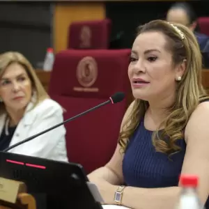 Oposici�n define este s�bado postura sobre la senadora Cabrera