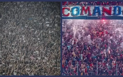 �Qui�n tiene m�s seguidores en las redes sociales, Olimpia o Cerro Porte�o?