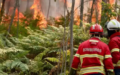 Bomberos intentan sofocar el incendio originado en Arouca, Portugal.