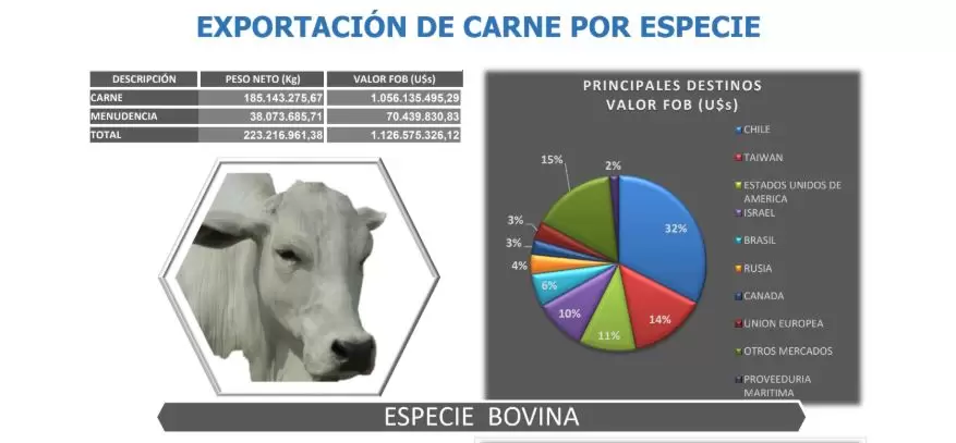 carne
