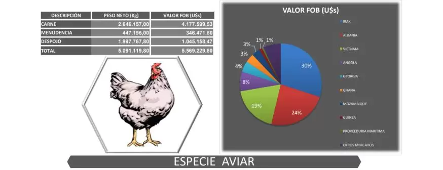 aviar