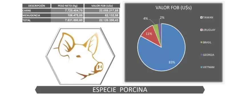porcina