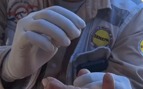 Paraguay libre de malaria.