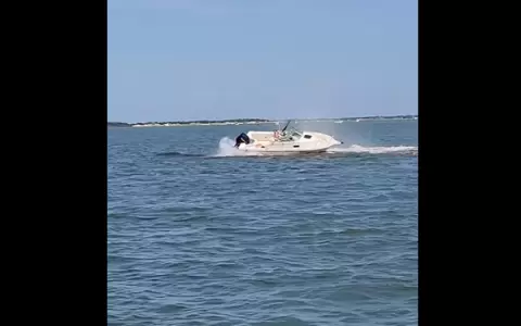 El impacto de la colisi�n casi volc� la embarcaci�n y lanz� a un pasajero al agua; la persona result� ilesa.