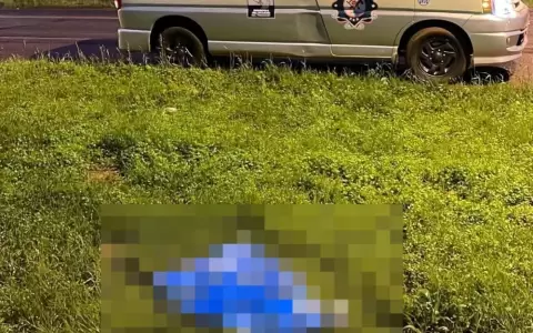 La mujer fue hallada el lunes 4 de agosto y se presume que su muerte guarda relaci�n con un percance vial.