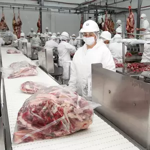 Panam� autoriza importaci�n de carne bovina paraguaya deshuesada