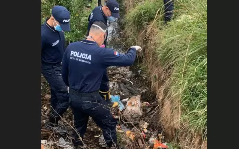 Las autoridades ya tomaron intervenci�n en el hecho.