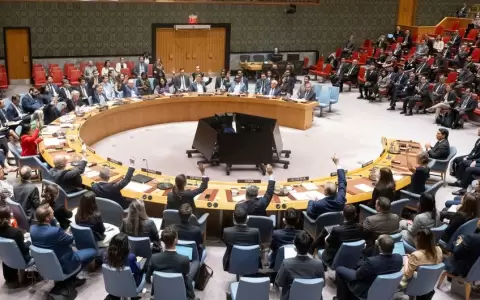 Consejo de Seguridad de la ONU.