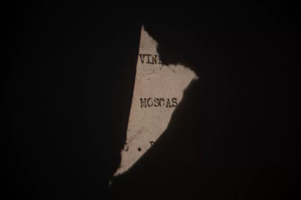 "La noche en com�n" dirigida por Alegr�a Gonz�lez.