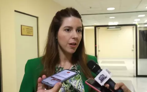 Sara Ir�n, titular de Sedeco.
