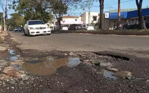 Baches.